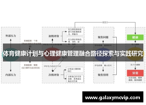 体育健康计划与心理健康管理融合路径探索与实践研究