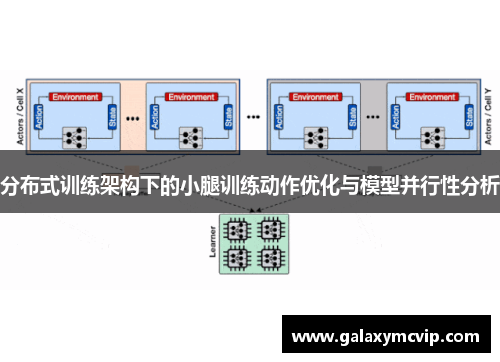 分布式训练架构下的小腿训练动作优化与模型并行性分析